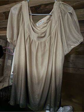 dressbarn Beige to Black Ombre Sparkle Blouse